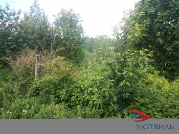 Земля в Станционном-Полевском в Черноморском - chernomorskoe.yutvil.ru - фото 3 Земля в Станционном-Полевском в Черноморском - chernomorskoe.yutvil.ru - фото 3