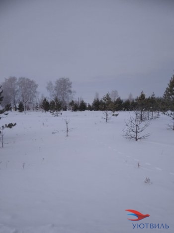 Земельный участок поселок Баженово в Черноморском - chernomorskoe.yutvil.ru - фото 2