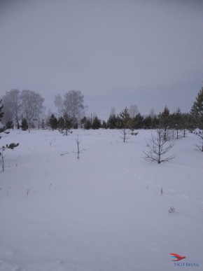 Баженово ул Южная д 7 в Черноморском - chernomorskoe.yutvil.ru - фото 2