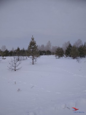 Баженово ул Южная д 7 в Черноморском - chernomorskoe.yutvil.ru - фото 5 Баженово ул Южная д 7 в Черноморском - chernomorskoe.yutvil.ru - фото 5