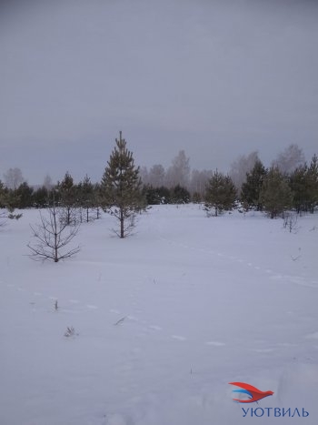 Земельный участок поселок Баженово в Черноморском - chernomorskoe.yutvil.ru - фото 5