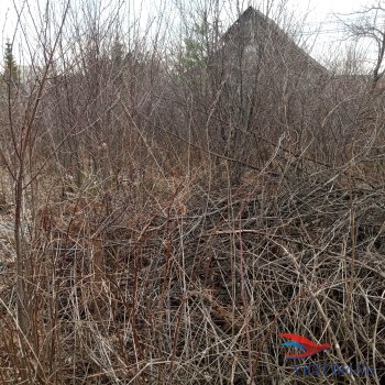садовый участок в Дуброво-1 в Черноморском - chernomorskoe.yutvil.ru - фото 3