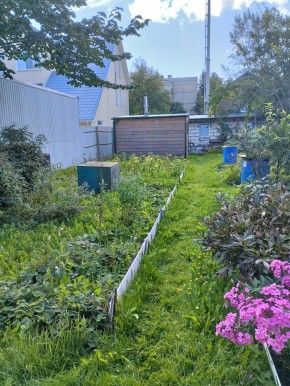 Коллективный сад номер 7, участок 58 в Черноморском - chernomorskoe.yutvil.ru - фото 22