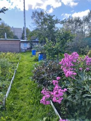 Коллективный сад номер 7, участок 58 в Черноморском - chernomorskoe.yutvil.ru - фото 23