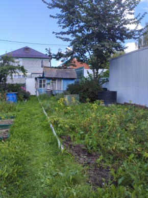 Коллективный сад номер 7, участок 58 в Черноморском - chernomorskoe.yutvil.ru - фото 25