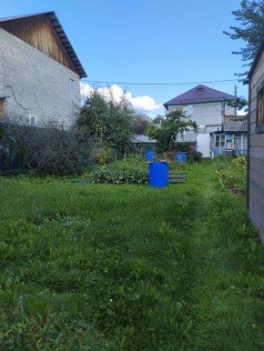 Коллективный сад номер 7, участок 58 в Черноморском - chernomorskoe.yutvil.ru - фото 26