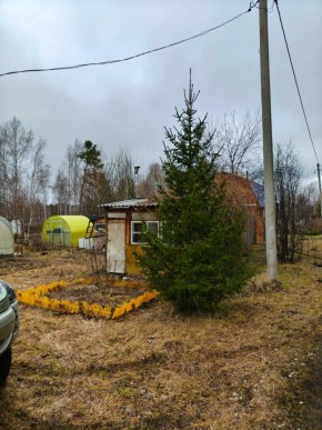 СНТ Родники в Черноморском - chernomorskoe.yutvil.ru - фото 5 СНТ Родники в Черноморском - chernomorskoe.yutvil.ru - фото 5