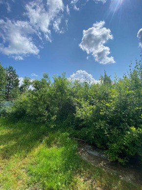 СПК Юбилейный, уч. 9 в Черноморском - chernomorskoe.yutvil.ru - фото 14