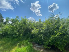 СПК Юбилейный, уч. 9 в Черноморском - chernomorskoe.yutvil.ru - фото 15