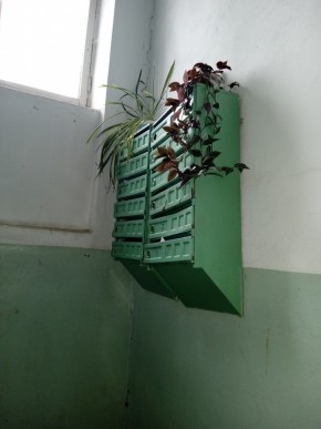 ул. Бажова,11 в Черноморском - chernomorskoe.yutvil.ru - фото 2
