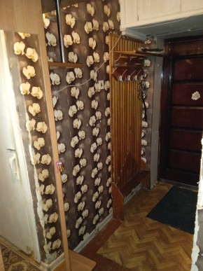 ул. Бажова,11 в Черноморском - chernomorskoe.yutvil.ru - фото 9 ул. Бажова,11 в Черноморском - chernomorskoe.yutvil.ru - фото 9