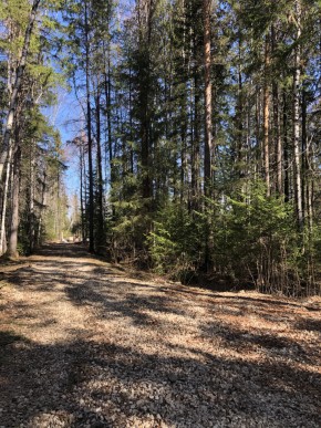 ул. Калиновая,9 в Черноморском - chernomorskoe.yutvil.ru - фото 2 ул. Калиновая,9 в Черноморском - chernomorskoe.yutvil.ru - фото 2