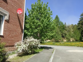 ул. Сосновая, 8 в Черноморском - chernomorskoe.yutvil.ru - фото 25