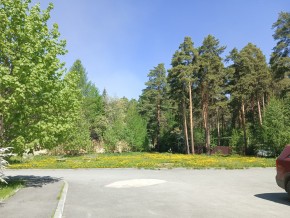 ул. Сосновая, 8 в Черноморском - chernomorskoe.yutvil.ru - фото 26