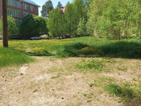 ул. Сосновая, 8 в Черноморском - chernomorskoe.yutvil.ru - фото 33